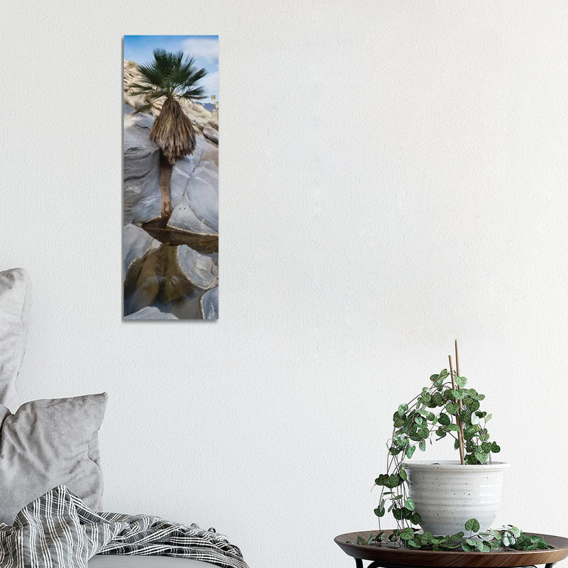 Indian Canyons, Palm Springs, California 1 Piece Wrapped Canvas Panoramic Wall Art, 30.48 cm H x 91.44 cm W x 3.175 cm D