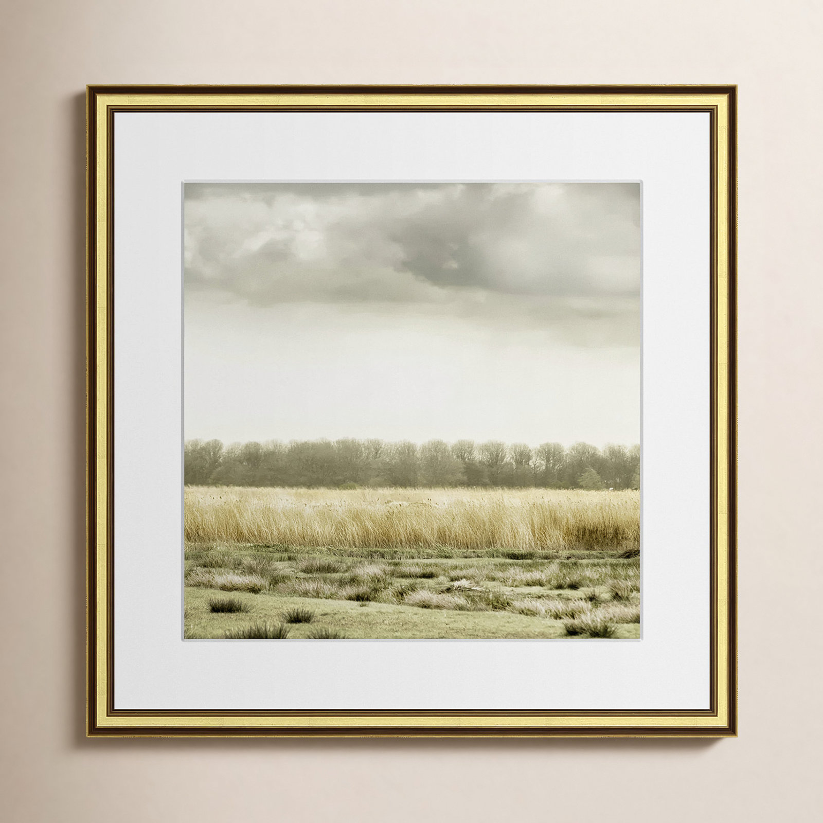 Henri "Meadowland" Print by Danita Delimont, Gold, 17" H x 17" W 