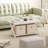 Single Coffee Table-1824273932