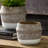 Delancy Pot Planter-105896686