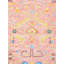 Oriental Area Rug in Salmon
