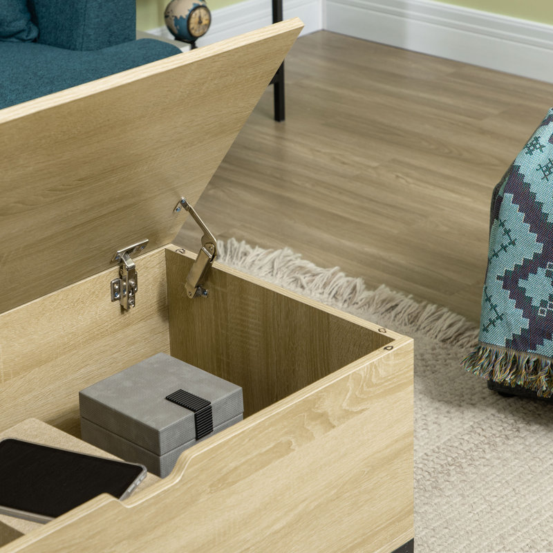 Banc de rangement à couvercle rabattable Tsakistra