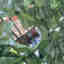 Photos des clients 4 de 4