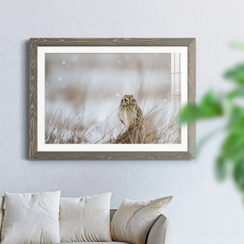 Prairie Winter - photographie avec cadre photo, Papier avec cadre gris, H 37,5 po x l 27,5 po x P 1,5 po