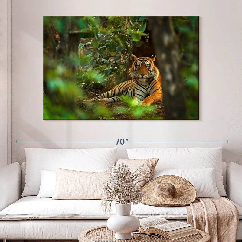 Brampt Indian Tiger, 34" H x 51" W