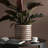 Ceramic Pot Planter-1468466868-1452100186