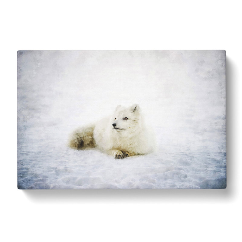 Resting Arctic Fox - Wrapped Canvas Print, 35cm H x 50cm W x 3cm D