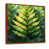 Brun