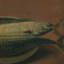 Still Life With Fish Print