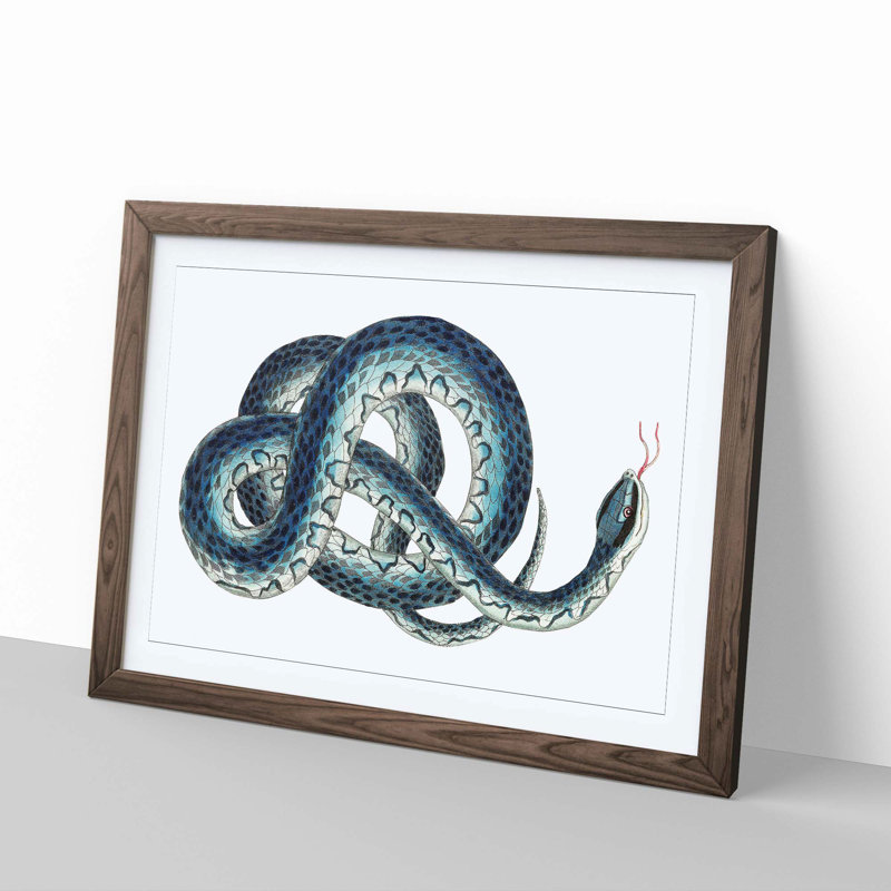 Blue Snake by George Shaw - Framed Print, 35cm H x 50cm W x 2cm D, Walnut