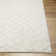 Aalisha Indoor Rug