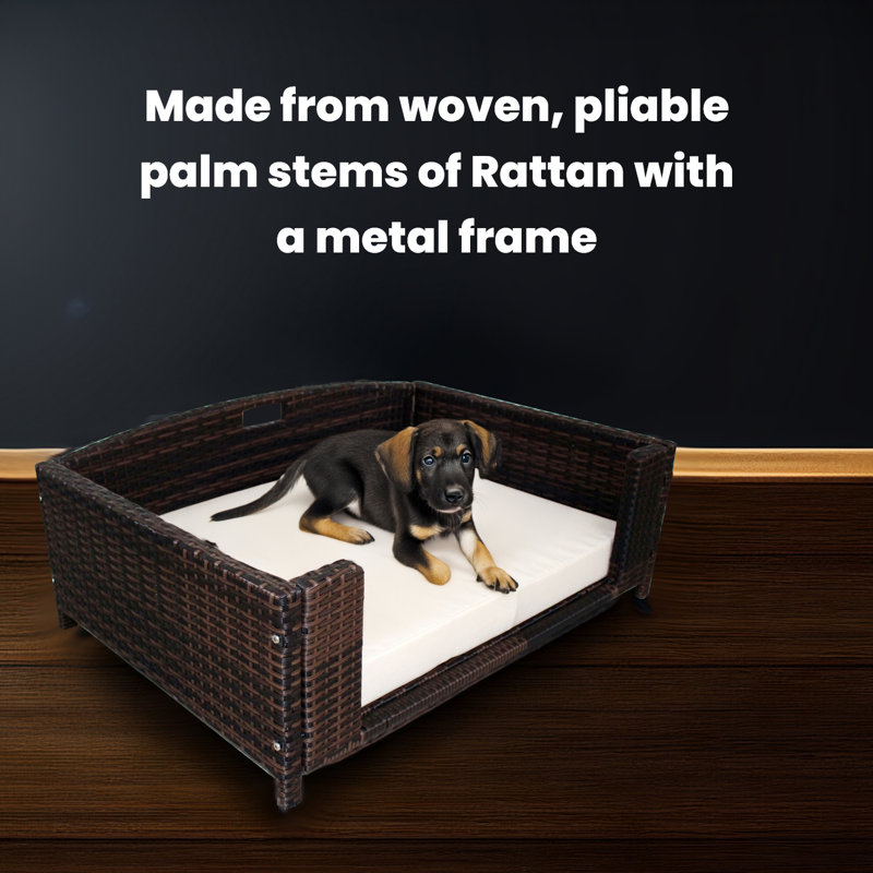 Small Dark Brown Rattan Elevated Outdoor Pet Sofa