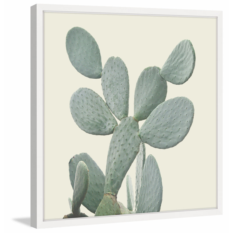 " I Love Cacti ", 24" H x 24" W