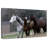 Three's Company Photography-107887664