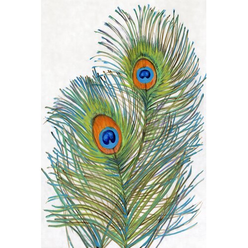 Bungalow Rose Vivid Peacock Feathers I On Canvas by Timothy O' Toole ...