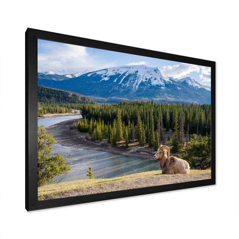 Faune sauvage, paysage de l'Alaska II, H 12 po x l 20 po x P 1 po, Cadre photo noir
