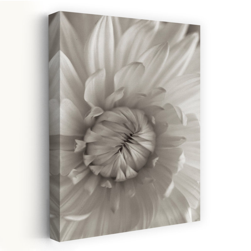 Florison # 24 - Art floral et nature morte, photographie de fleurs, H 24 po x l 16 po
