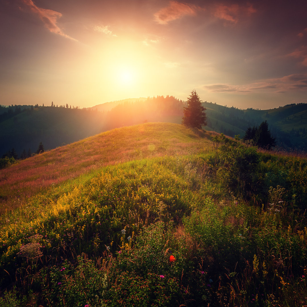 Sonnenuntergang in den Bergen von Mammuth - Kunstdrucke auf Leinwand