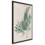 «Palm Botanical IV» par Julia Purinton - impression-65863358-65863366