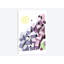« on the edge », reproduction d’impression sur toile-32863140-72224966-72224967