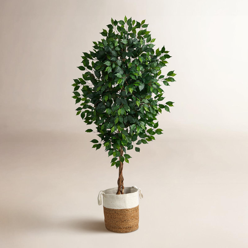 Ficus artificiel 72 po en pot, H 72 po x l 24 po
