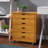 Pitts 6 Drawer Storage Drawer