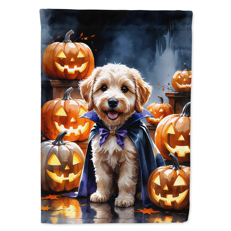 Drapeau de jardin chiot Halloween, Labradoodle