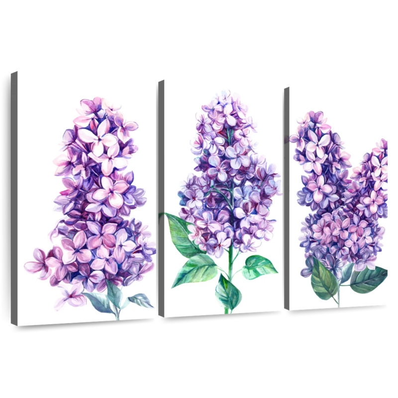 Lilas Harnek, H 28 po x l 45 po