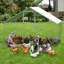 Chicken Run