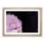 Stars of Life - Picture Frame Painting Print-55730077-55730075