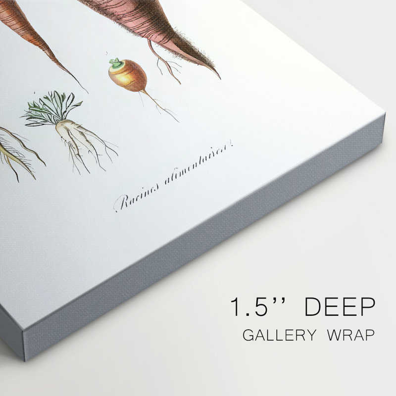 Fruit & Vegetable Varieties VI -Gallery Wrapped Cavas