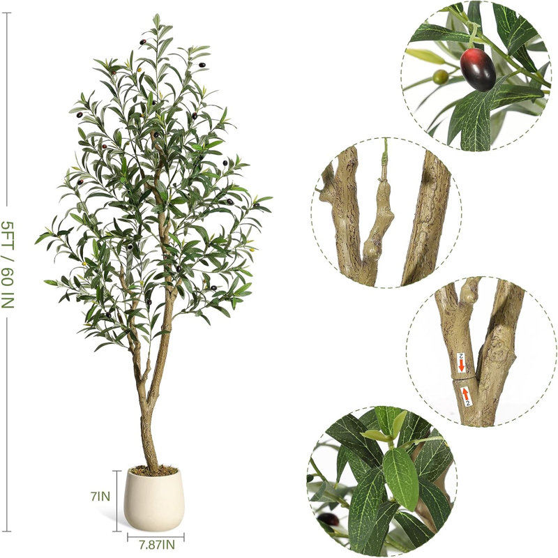 152.4cm Plant