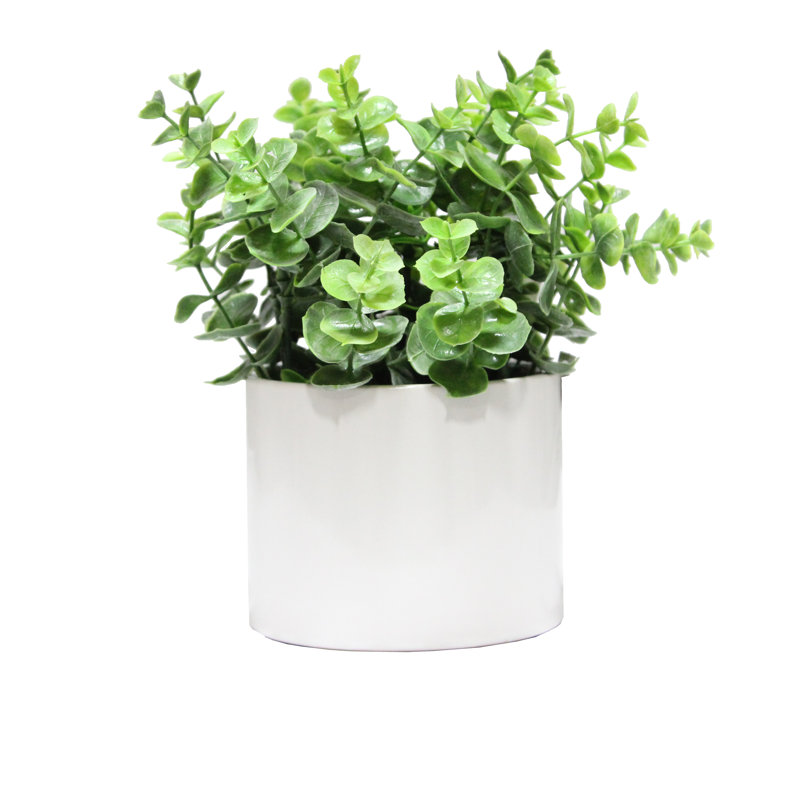 8.25 " Faux Eucalyptus in Ceramic Pot