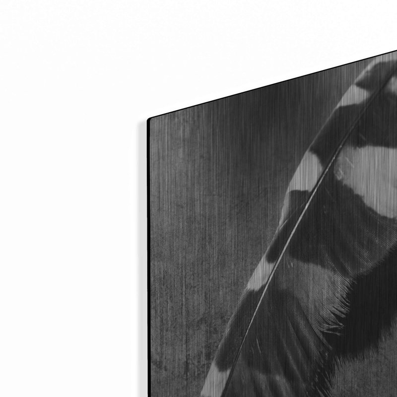 «Feather Shadow II» par Debra Van Swearingen, H 24 po x l 16 po
