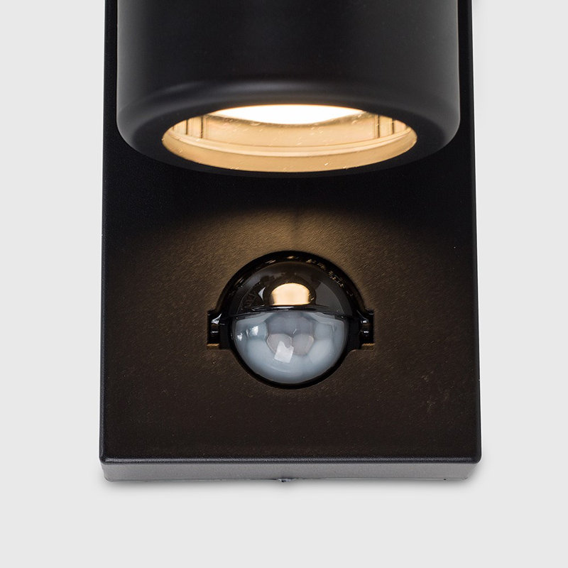 Likens Black 2 - Bulb Outdoor Armed Sconce, No 