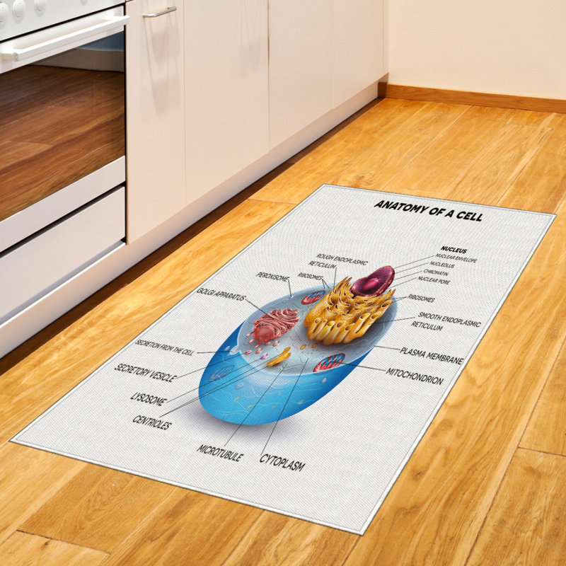Science High Density Long Fiber Poly Threads Decorative Area Rug Carpet, Rectangle 2'7" x 5'