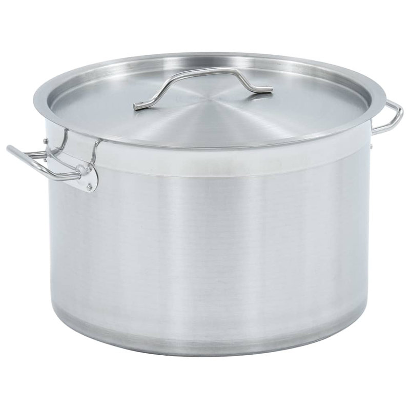 Belfry Kitchen Walden 23L Stainless Steel Stock Pot, 22cm H x 35cm D (23L)