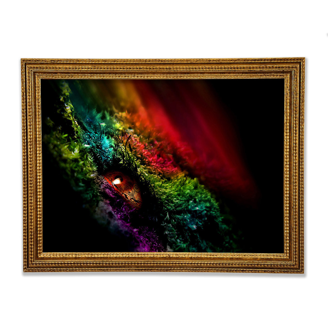 Eye Of The Rainbow - Einzelne Bilderrahmen Kunstdrucke