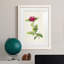 «Pretty Botanicals II», cadre photo-341834863-341834861