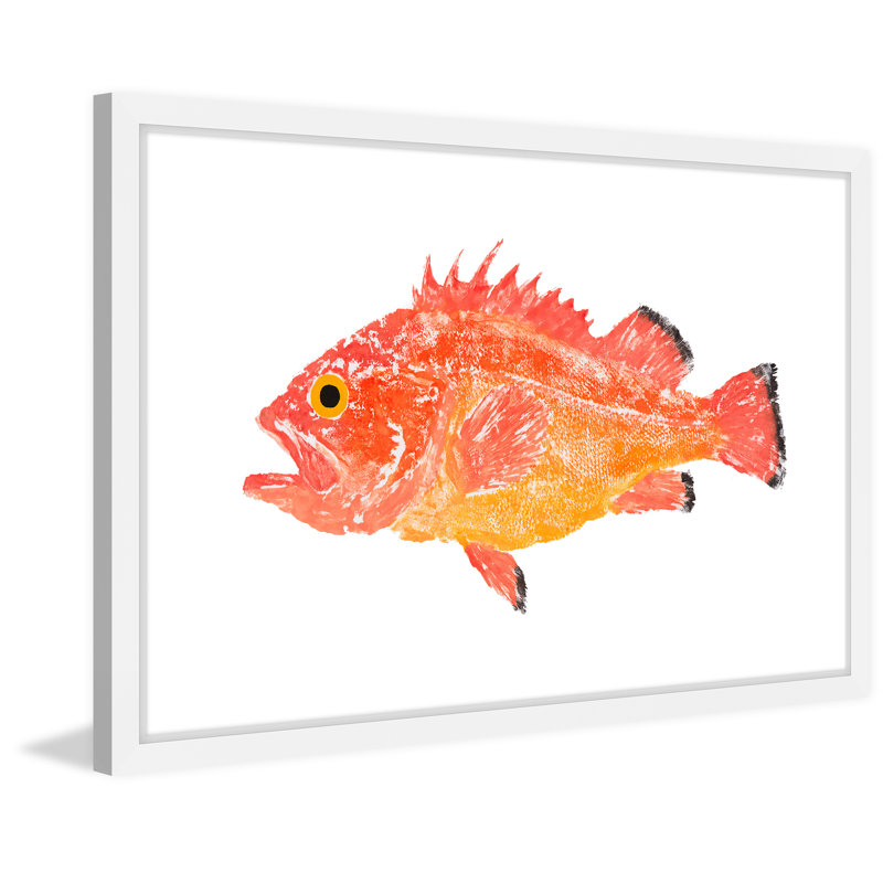 Orange Spiney Fish Framed Canvas Print, 26" x 18"