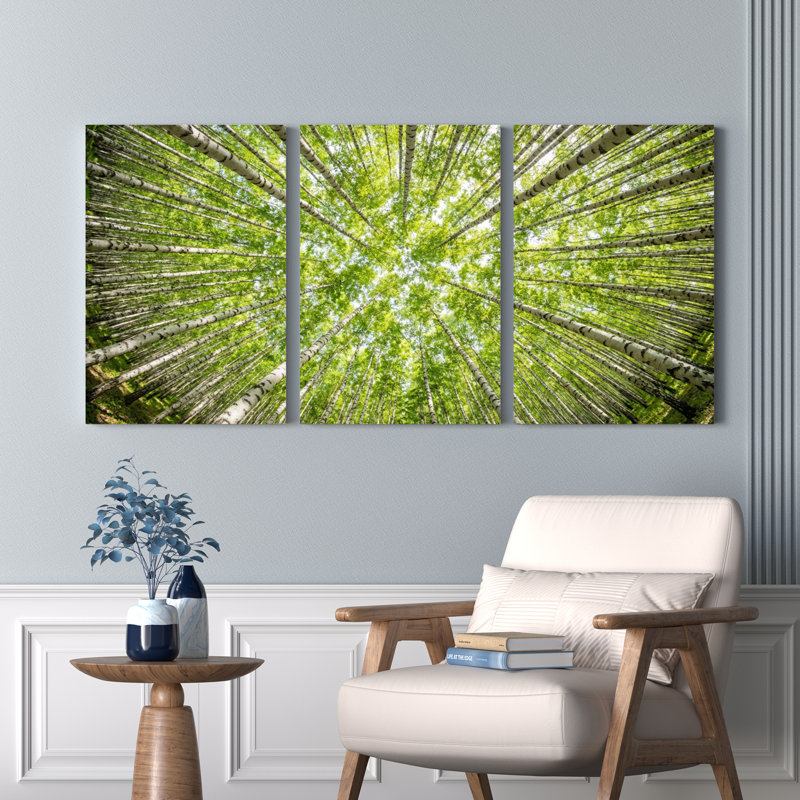 Ensemble de 3 tableaux sur toile tendue représentant un paysage naturel sous la canopée d'une forêt de bouleaux, 1218