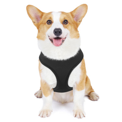 Mesh Dog Harness, No Pull Harness Adjustable Soft Padded Pet Vest with D-Ring & Buckle for Dogs Cats