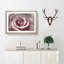 Pretty in Pink Rose Flower - Picture Frame Painting Print-56758542-56758541