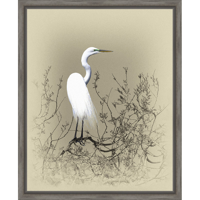 « great aigrette », reproduction d’art encadrée