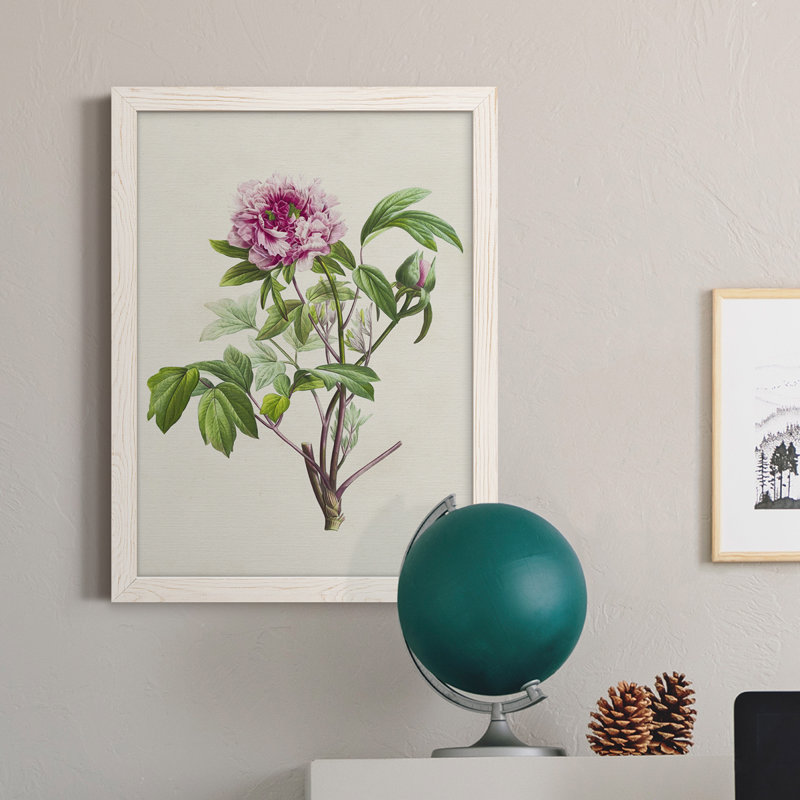 «Pretty Pink Botanicals V», reproduction sur toile encadrée, H 31 po x l 44 po x P 1 po, Cadre blanc