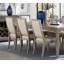 Ensemble de 2 chaises d'appoint Modern Modern