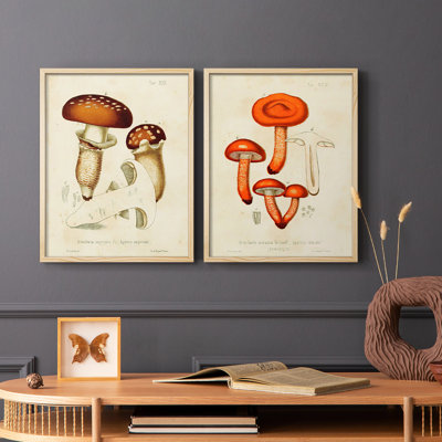 Champignon Variétés III - reproduction encadrée de qualité supérieure - prête à être accrochée - aucun clou requis - aucun clou requis
