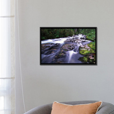 " Paradise River, Mt Rainier National Park, Washington " by Tim Fitzharris