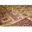 Wool Oriental Area Rug in Rust/Cream