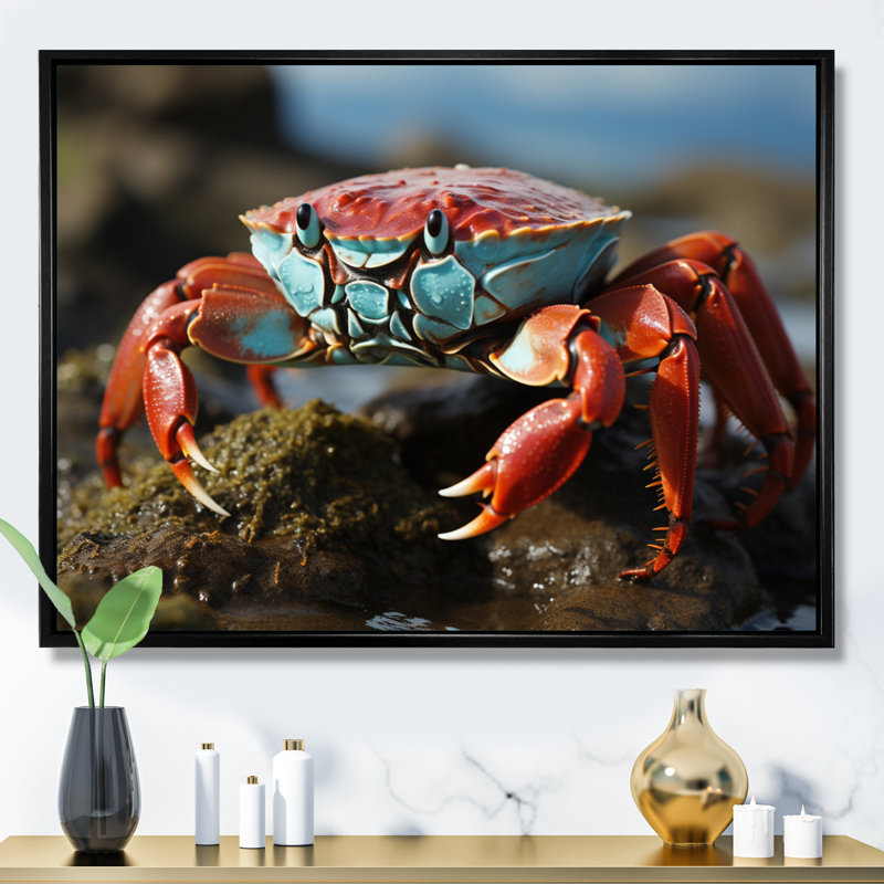 Crab Coastal Scavenger - Animals Wall Decor, Cadre flottant noir, H 30 po x l 40 po x P 1,5 po
